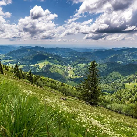 شقة Bergzauber Schwarzwald