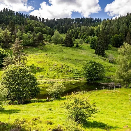 Bergzauber Schwarzwald * Schonenberg